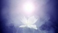 /album/fenykepgaleria/a5-virtual-evidences-of-global-spiritual-awakening-jpg/